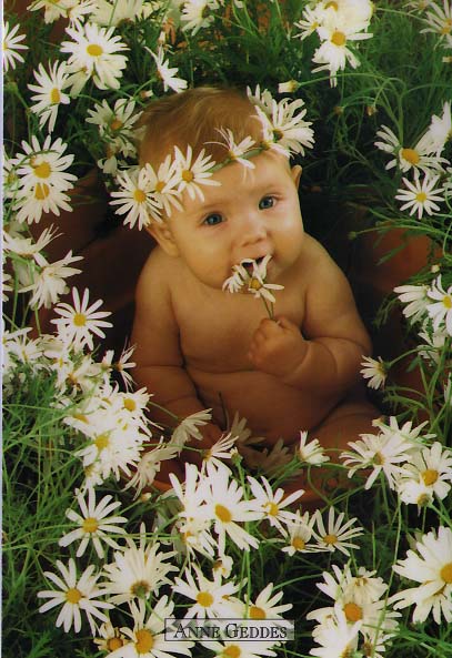 Cro mignon!!!!!!!!!!!!!!!!